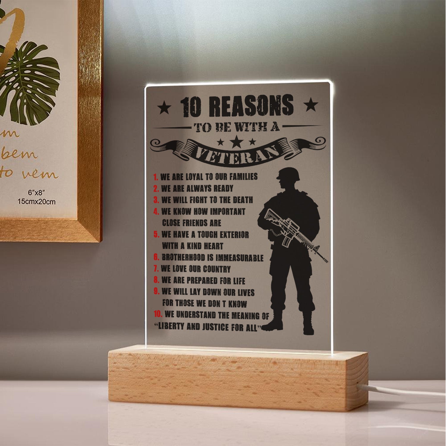 Veteran Pride Led Night Light