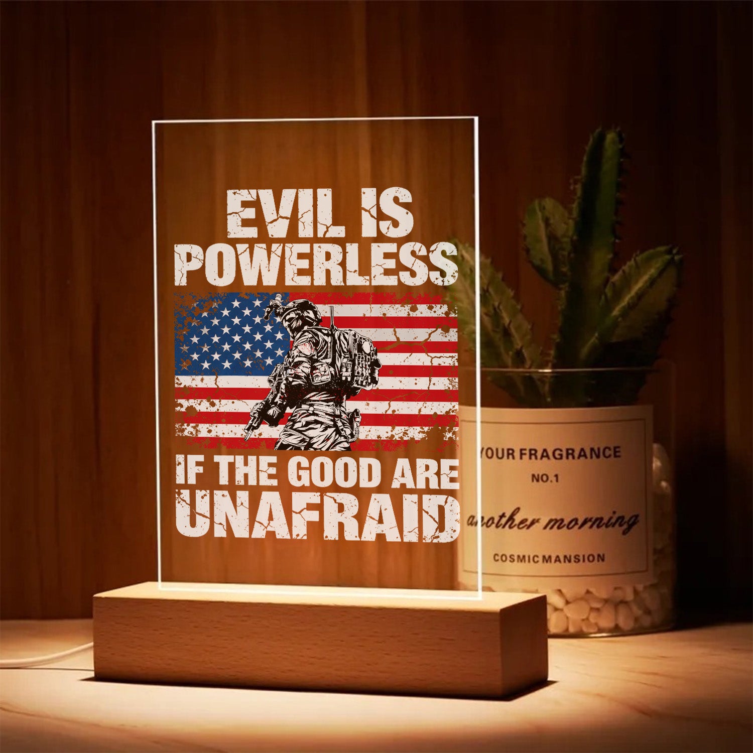 US Veteran Courage Led Night Light