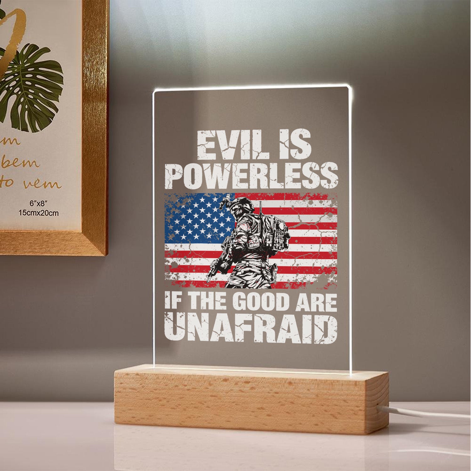 US Veteran Courage Led Night Light