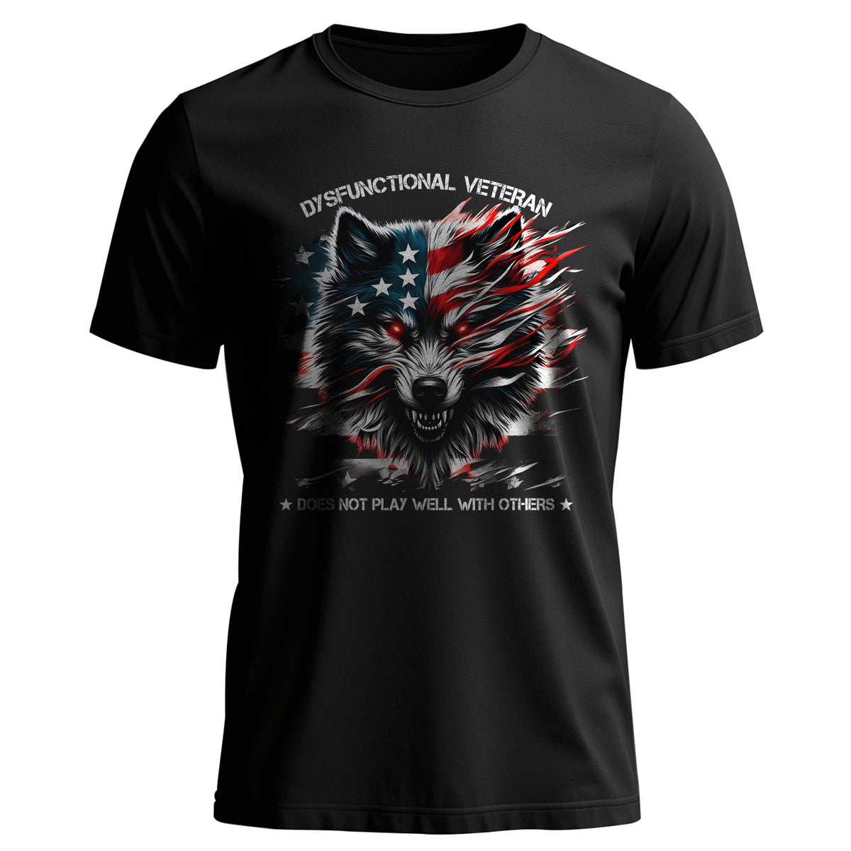 Dysfunctional Veteran Does Not Play Well T-Shirt Main image