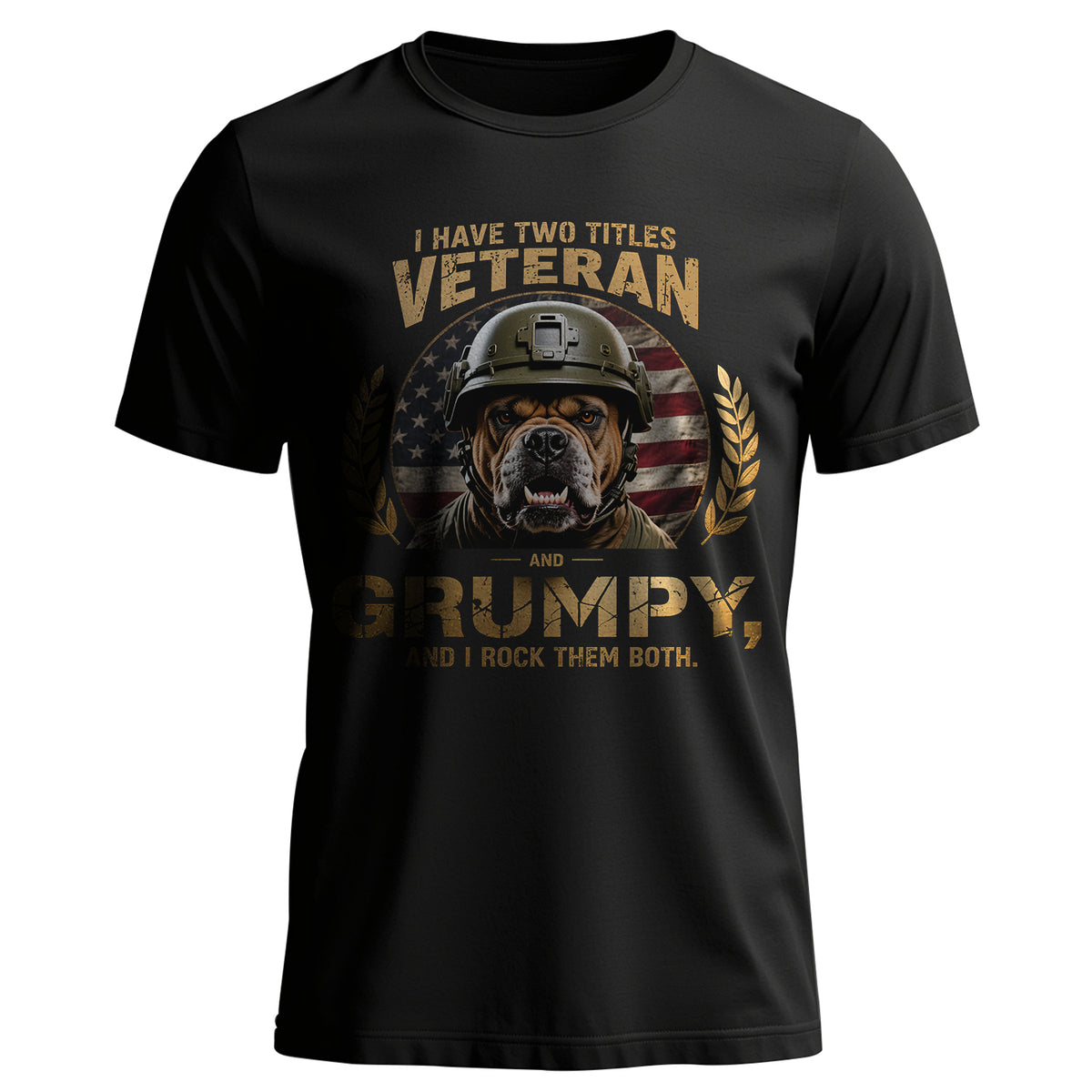 I Have Two Titles Veteran and Grumpy and I T-Shirt Main image